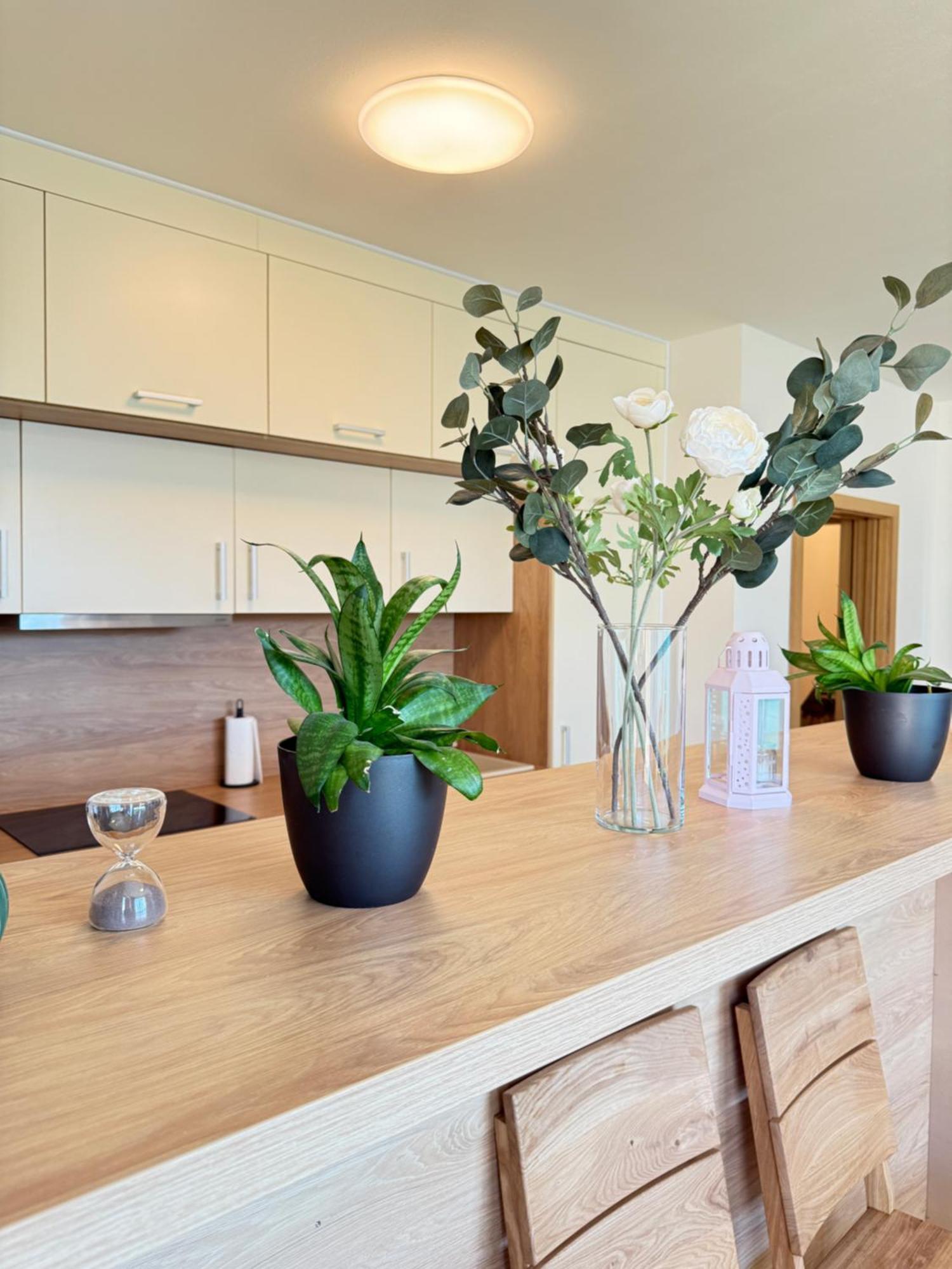Familyvilla, New 4 Luxury Big Apartments, Parking Apartment Prag